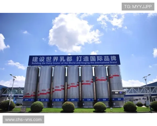 澳门葡京官网平台在全球范围内的知名度，分析其品牌建设与营销策略