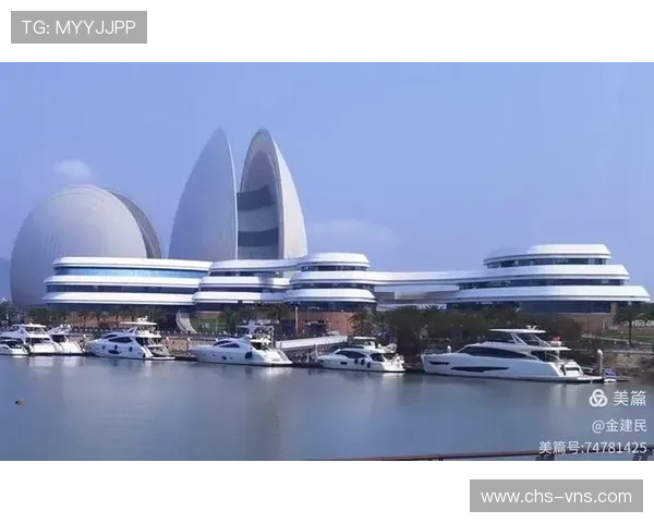 澳门金莎中国：澳门金莎如何利用数字化技术提升在中国市场的竞争力